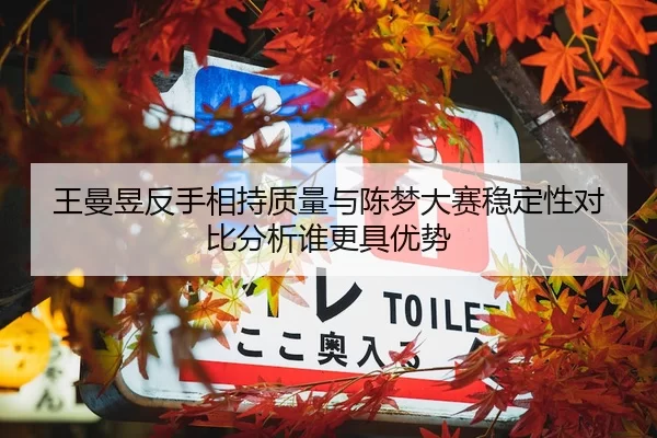 王曼昱反手相持质量与陈梦大赛稳定性对比分析谁更具优势