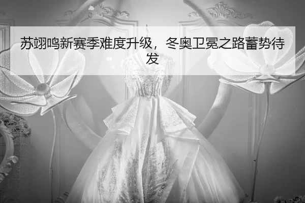 su-yi-ming-xin-sai-ji-nan-du-sheng-ji-dong-ao-wei-mian-zhi-lu-xu-shi-dai-fa-2-262.jpg